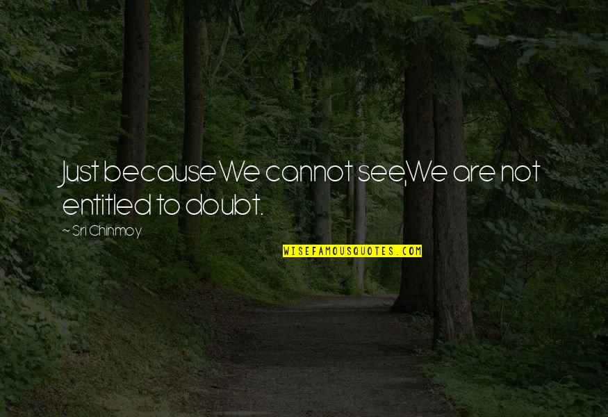 Proud Of How Far You Ve Come Quotes By Sri Chinmoy: Just becauseWe cannot see,We are not entitled to