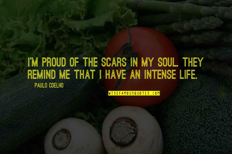 Proud Of Me Quotes By Paulo Coelho: I'm proud of the scars in my soul.