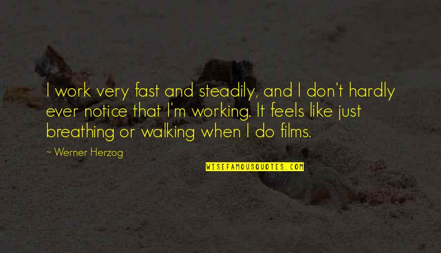 Proud Of My Boy Quotes By Werner Herzog: I work very fast and steadily, and I