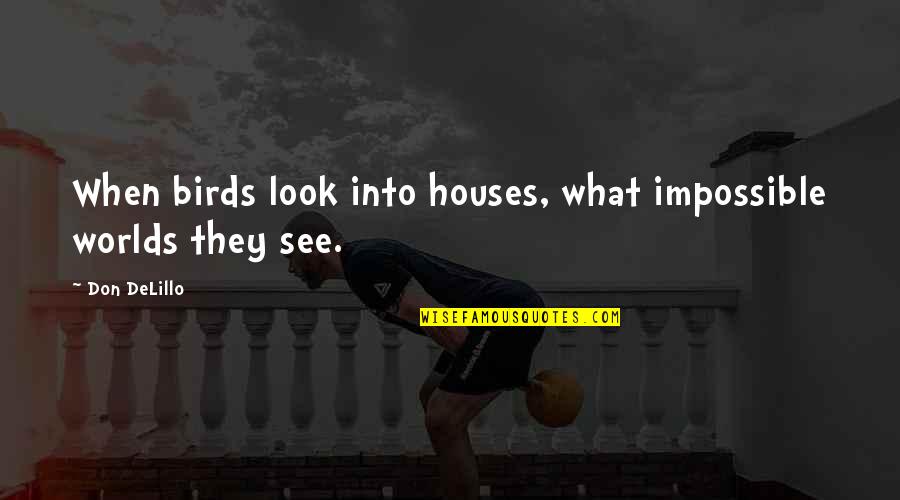 Proud Pakistani Quotes By Don DeLillo: When birds look into houses, what impossible worlds