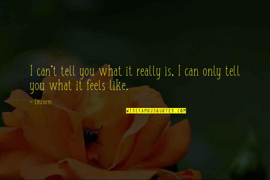 Prouver Quotes By Eminem: I can't tell you what it really is,