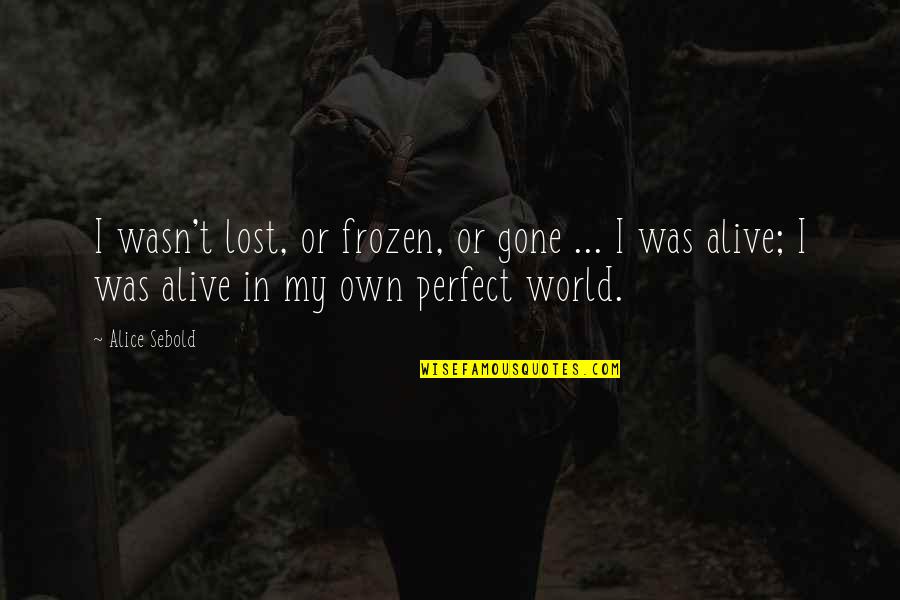 Provacation Quotes By Alice Sebold: I wasn't lost, or frozen, or gone ...
