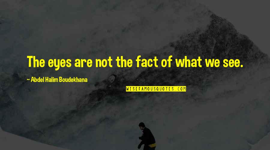 Prove Yourself To Yourself Not Others Quotes By Abdel Halim Boudekhana: The eyes are not the fact of what Prove Yourself To Yourself Not Others Quotes By Abdel Halim Boudekhana: The eyes are not the fact of what