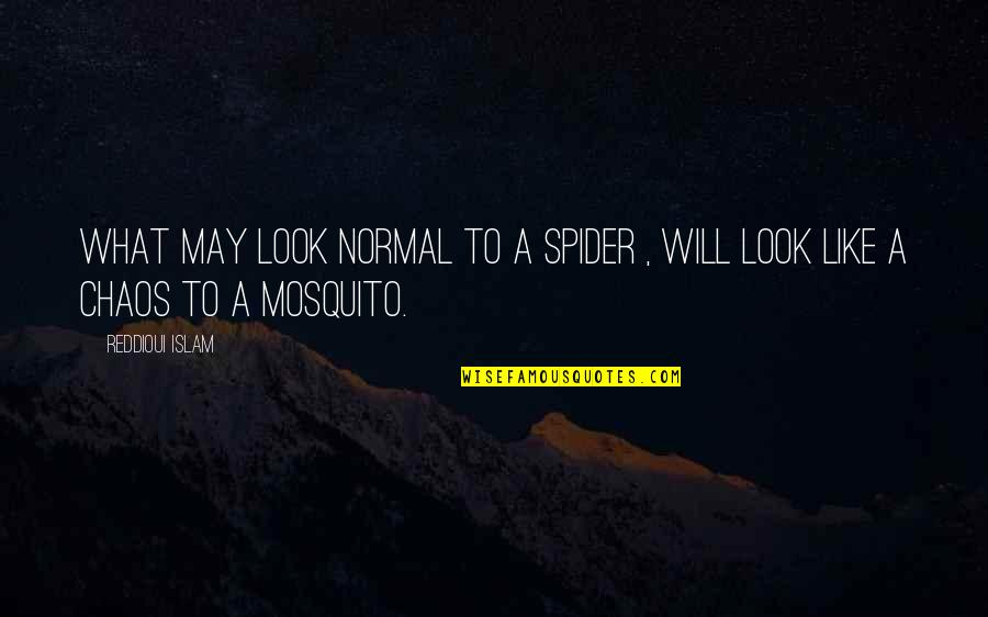 Provechoso En Quotes By Reddioui Islam: What may look normal to a spider ,