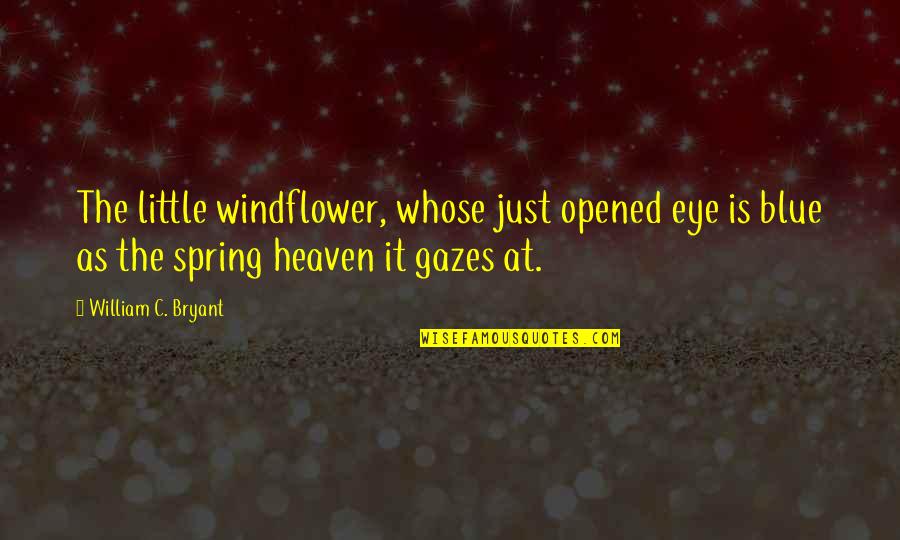 Proved Myself Quotes By William C. Bryant: The little windflower, whose just opened eye is