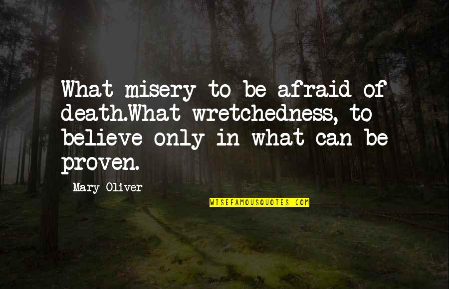 Proven Quotes By Mary Oliver: What misery to be afraid of death.What wretchedness,