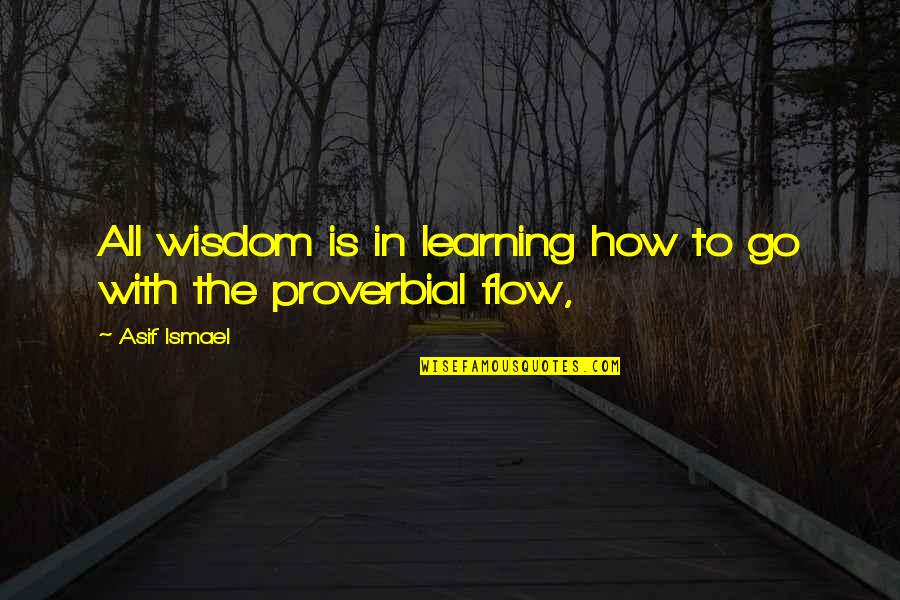 Proverbial Wisdom Quotes By Asif Ismael: All wisdom is in learning how to go