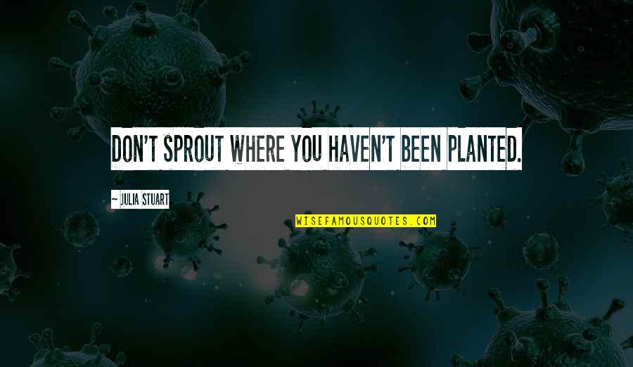 Proverbial Wisdom Quotes By Julia Stuart: Don't sprout where you haven't been planted. Proverbial Wisdom Quotes By Julia Stuart: Don't sprout where you haven't been planted.