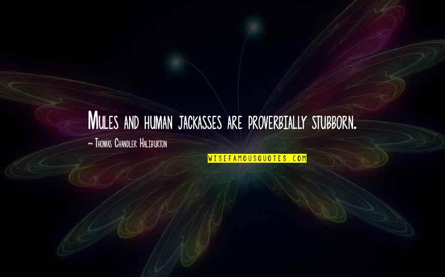 Proverbially Quotes By Thomas Chandler Haliburton: Mules and human jackasses are proverbially stubborn. Proverbially Quotes By Thomas Chandler Haliburton: Mules and human jackasses are proverbially stubborn.