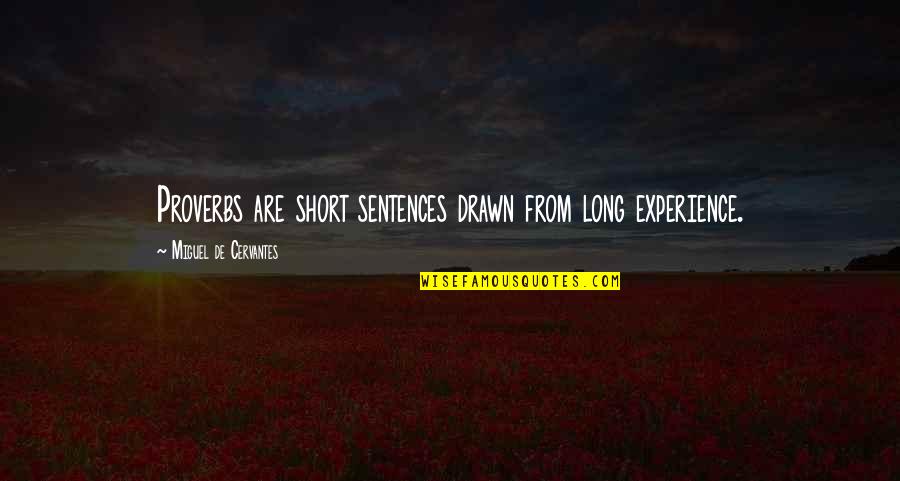 Proverbs Quotes By Miguel De Cervantes: Proverbs are short sentences drawn from long experience.