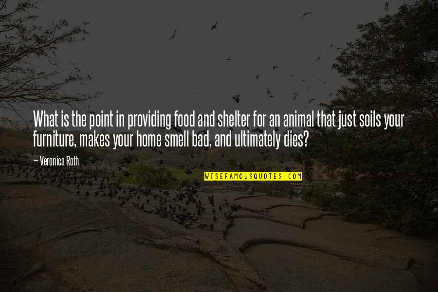 Providing Shelter Quotes By Veronica Roth: What is the point in providing food and