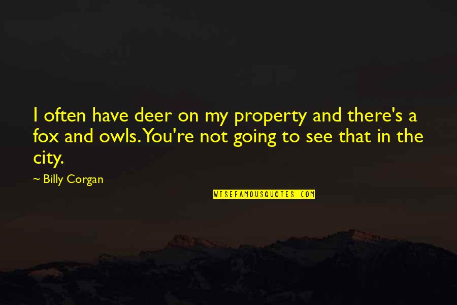 Provoices Quotes By Billy Corgan: I often have deer on my property and Provoices Quotes By Billy Corgan: I often have deer on my property and