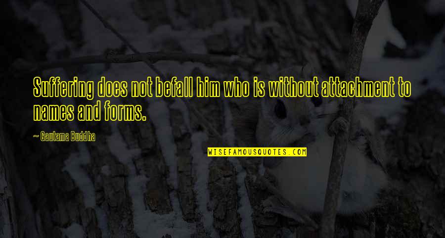 Provokers Research Quotes By Gautama Buddha: Suffering does not befall him who is without