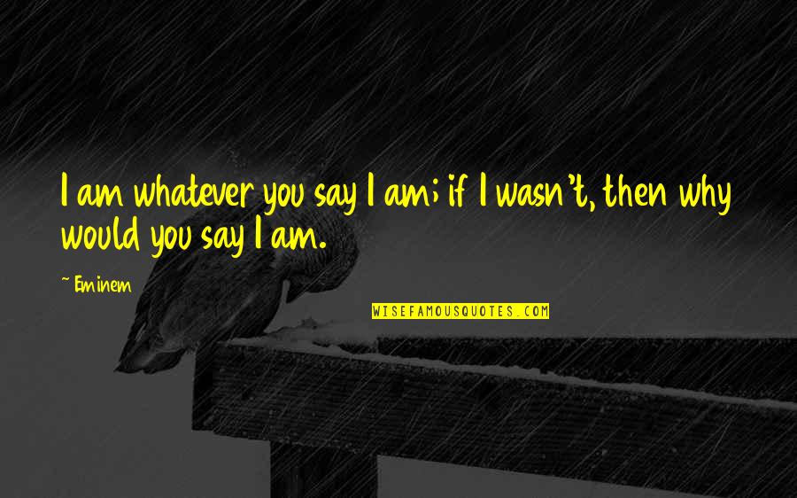 Provolone Del Quotes By Eminem: I am whatever you say I am; if