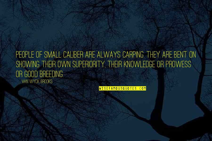 Prowess Quotes By Van Wyck Brooks: People of small caliber are always carping. They Prowess Quotes By Van Wyck Brooks: People of small caliber are always carping. They
