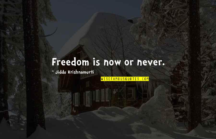 Prowls Quotes By Jiddu Krishnamurti: Freedom is now or never.