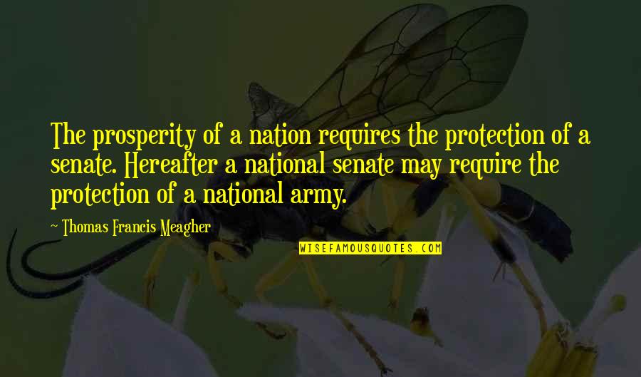 Prsa College Quotes By Thomas Francis Meagher: The prosperity of a nation requires the protection Prsa College Quotes By Thomas Francis Meagher: The prosperity of a nation requires the protection