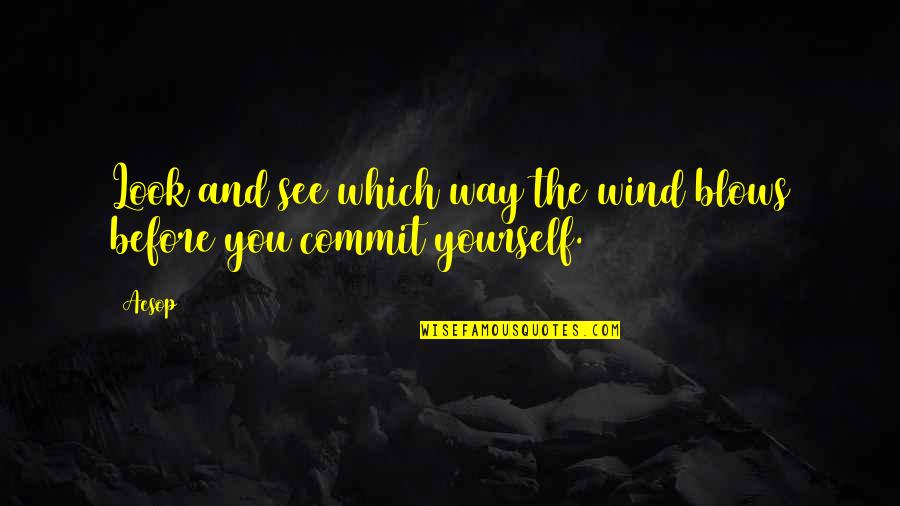Prudence Quotes By Aesop: Look and see which way the wind blows
