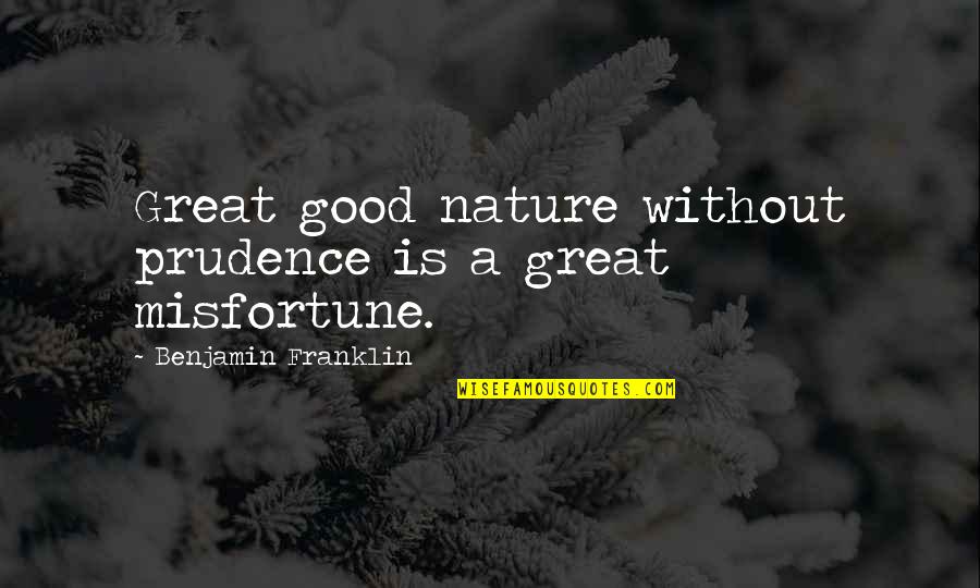 Prudence Quotes By Benjamin Franklin: Great good nature without prudence is a great