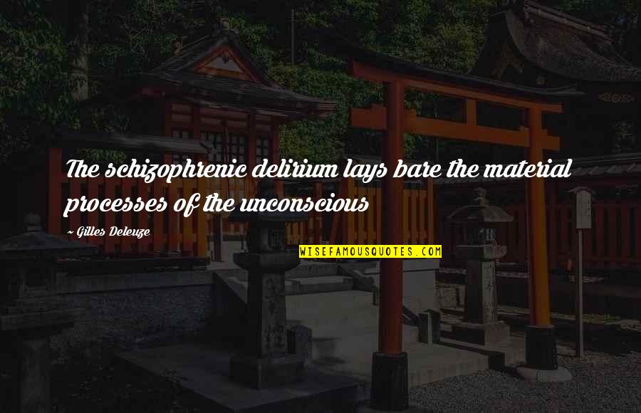 Prue's Quotes By Gilles Deleuze: The schizophrenic delirium lays bare the material processes