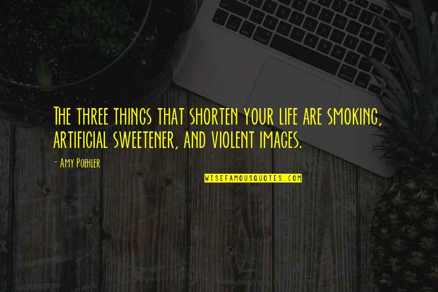 Prugaros Quotes By Amy Poehler: The three things that shorten your life are