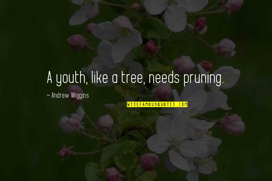 Pruning Quotes By Andrew Wiggins: A youth, like a tree, needs pruning.