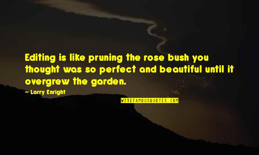 Pruning Quotes By Larry Enright: Editing is like pruning the rose bush you