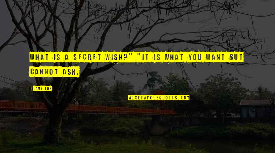 Pruszkowska Mafia Quotes By Amy Tan: What is a secret wish?" "It is what