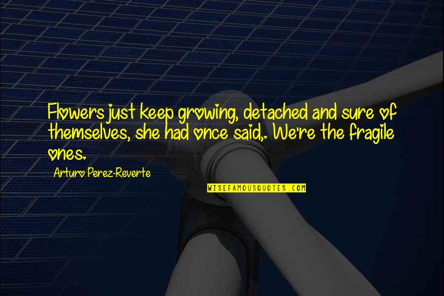 Pruszkowska Mafia Quotes By Arturo Perez-Reverte: Flowers just keep growing, detached and sure of Pruszkowska Mafia Quotes By Arturo Perez-Reverte: Flowers just keep growing, detached and sure of