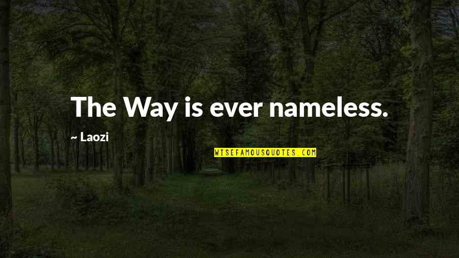 Przebiegunowanie Quotes By Laozi: The Way is ever nameless.
