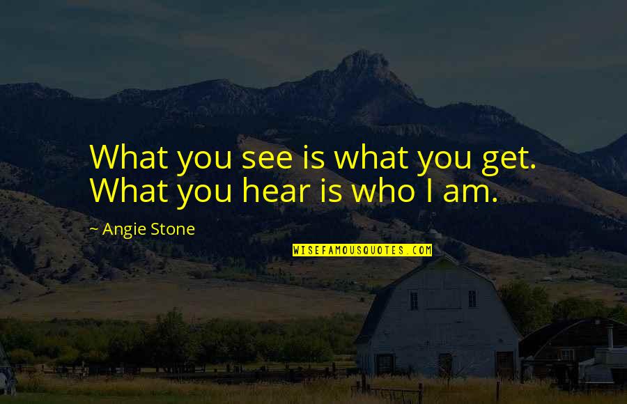 Przemyslaw Kossakowski Quotes By Angie Stone: What you see is what you get. What Przemyslaw Kossakowski Quotes By Angie Stone: What you see is what you get. What
