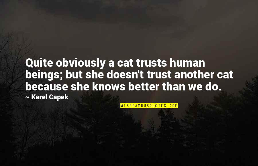 Przystawanie Quotes By Karel Capek: Quite obviously a cat trusts human beings; but Przystawanie Quotes By Karel Capek: Quite obviously a cat trusts human beings; but