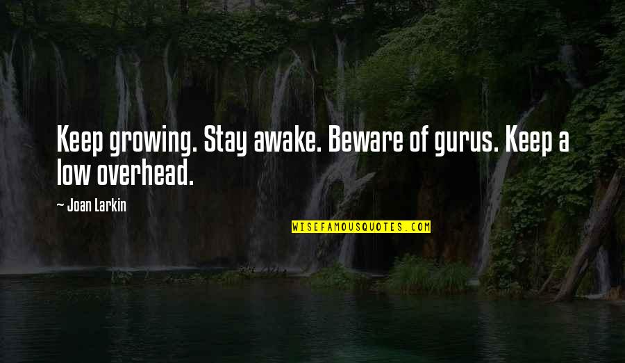 Ps4 Quotes By Joan Larkin: Keep growing. Stay awake. Beware of gurus. Keep