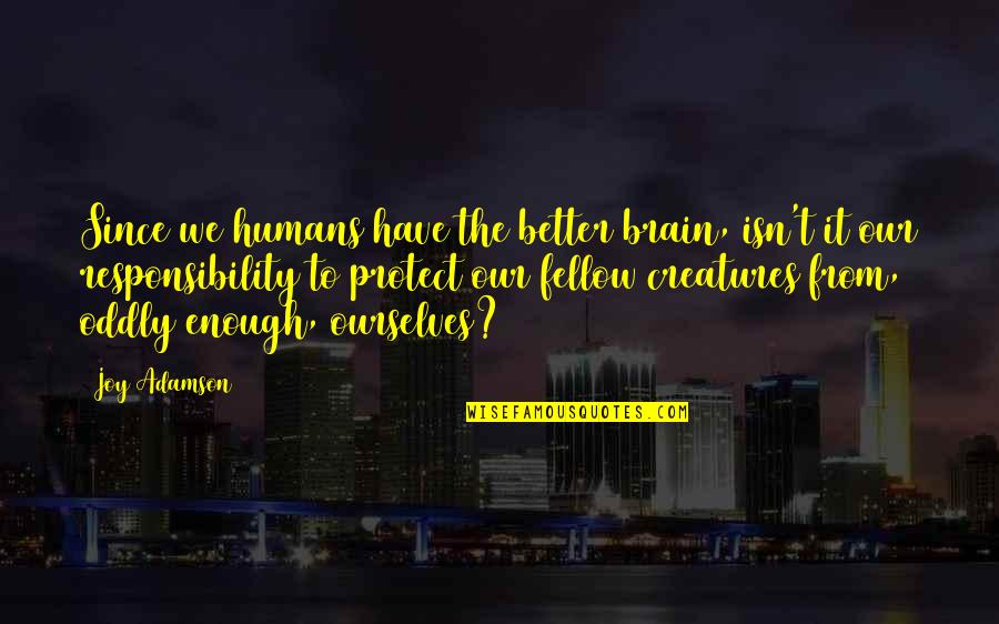 Psa98 Quotes By Joy Adamson: Since we humans have the better brain, isn't