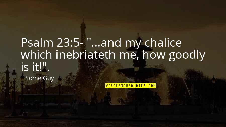 Psalm 23 Quotes By Some Guy: Psalm 23:5- "...and my chalice which inebriateth me,