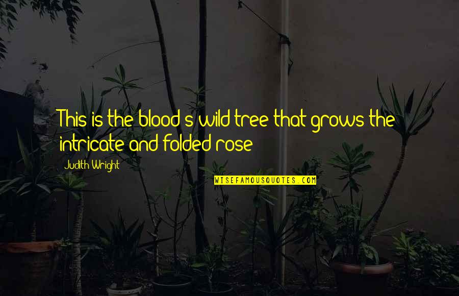Pseudo Inspirational Quotes By Judith Wright: This is the blood's wild tree that grows