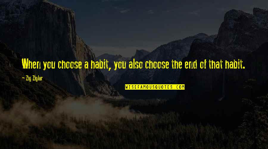 Pseudoknowledge Quotes By Zig Ziglar: When you choose a habit, you also choose
