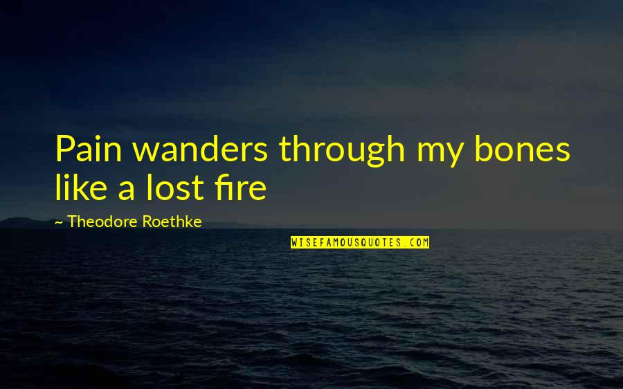 Pshe Quotes By Theodore Roethke: Pain wanders through my bones like a lost