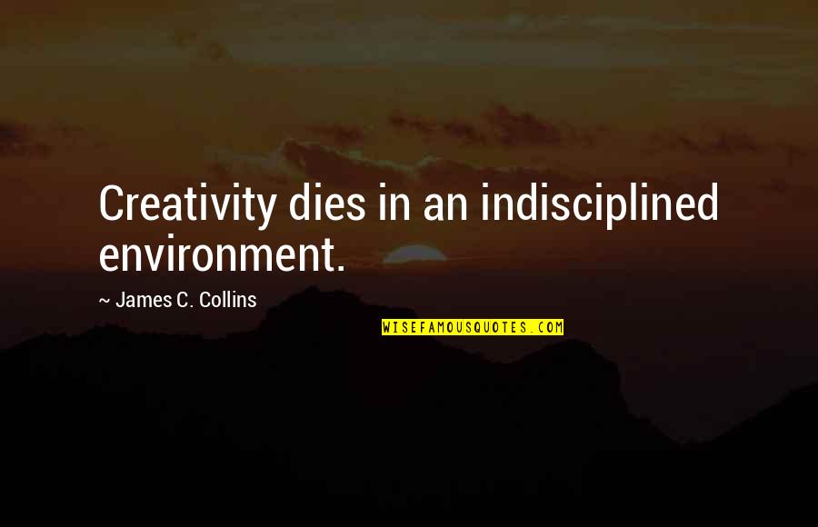Psimos Decorah Quotes By James C. Collins: Creativity dies in an indisciplined environment. Psimos Decorah Quotes By James C. Collins: Creativity dies in an indisciplined environment.