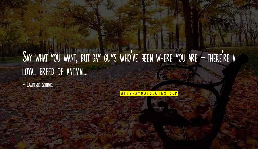 Psychiatrists Funny Quotes By Lawrence Schimel: Say what you want, but gay guys who've