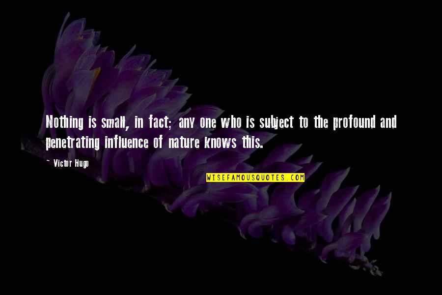 Psychic Workshop Quotes By Victor Hugo: Nothing is small, in fact; any one who Psychic Workshop Quotes By Victor Hugo: Nothing is small, in fact; any one who