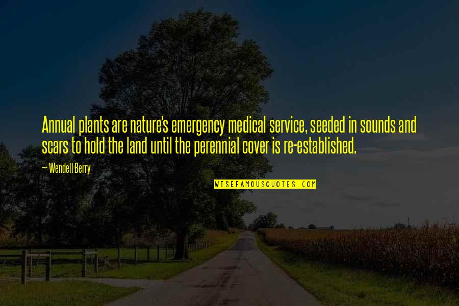 Psychological Trauma Quotes By Wendell Berry: Annual plants are nature's emergency medical service, seeded