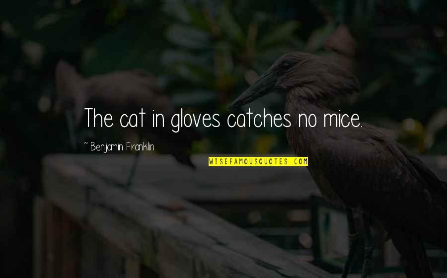 Psychopathologist Job Quotes By Benjamin Franklin: The cat in gloves catches no mice.