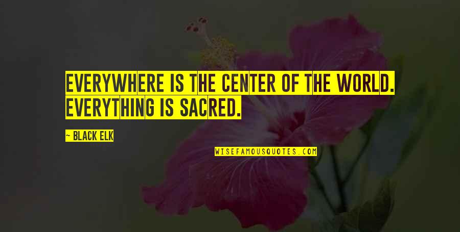 Psychosis Memorable Quotes By Black Elk: Everywhere is the center of the world. Everything