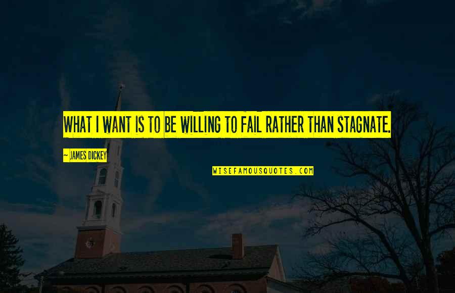 Psychotically Depressed Quotes By James Dickey: What I want is to be willing to