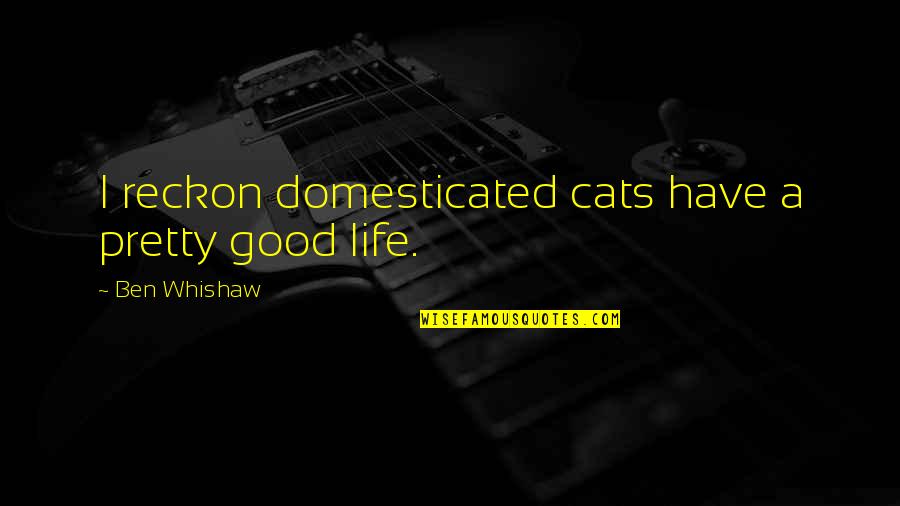 Pszczelarstwo Quotes By Ben Whishaw: I reckon domesticated cats have a pretty good Pszczelarstwo Quotes By Ben Whishaw: I reckon domesticated cats have a pretty good