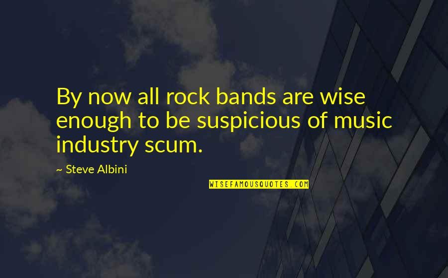 Ptshew Quotes By Steve Albini: By now all rock bands are wise enough