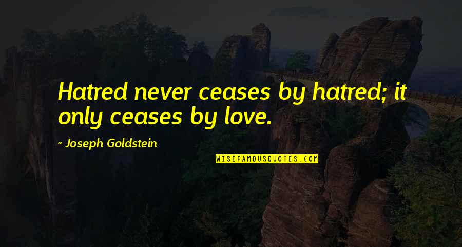 Ptv Sport Quotes By Joseph Goldstein: Hatred never ceases by hatred; it only ceases