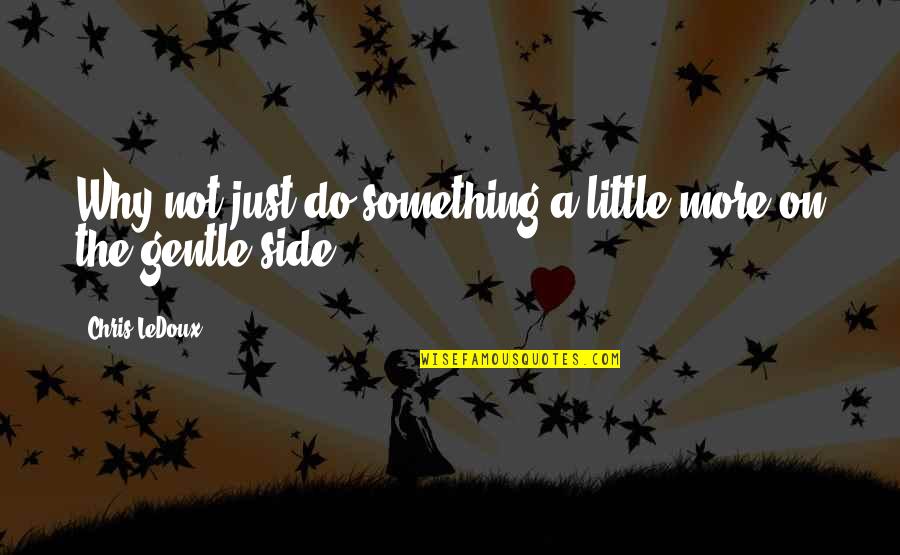 Pu L Deshpande Quotes By Chris LeDoux: Why not just do something a little more Pu L Deshpande Quotes By Chris LeDoux: Why not just do something a little more