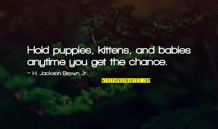Public Debate Quotes By H. Jackson Brown Jr.: Hold puppies, kittens, and babies anytime you get Public Debate Quotes By H. Jackson Brown Jr.: Hold puppies, kittens, and babies anytime you get
